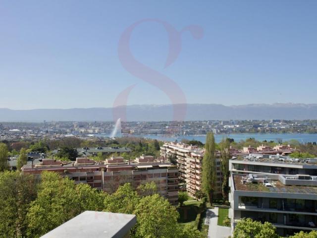 Apartment mieten in Cologny