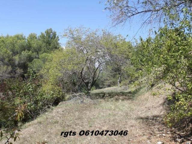 Terrain vente à Nice, Colomars