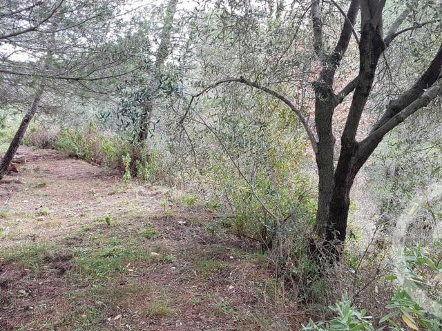 Terrain vente à Nice, Colomars