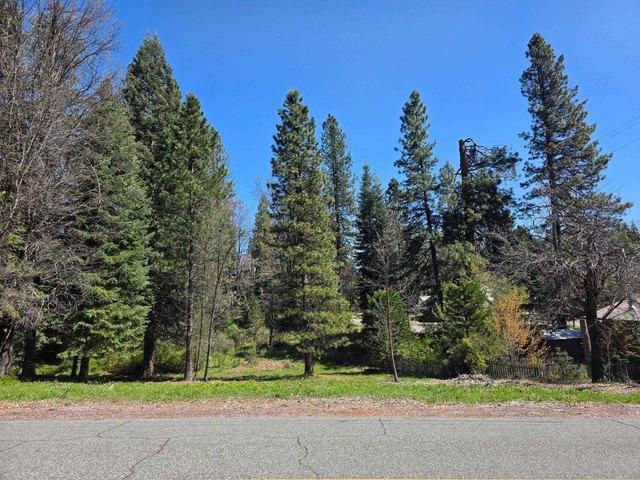 Land for sale in Mccloud, California