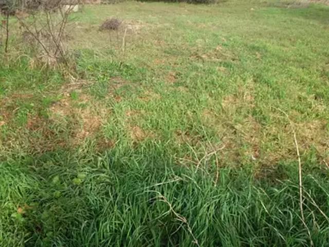 Terrain vente à Toulouse, Colomiers