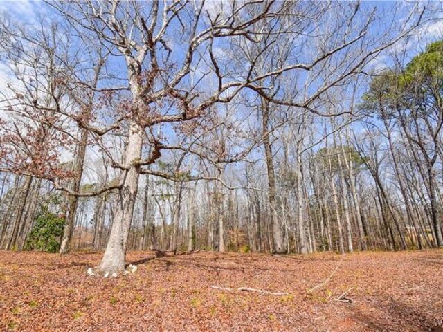 Land for sale in Duncanville