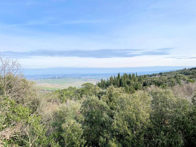 Rustico in vendita a Lajatico, Toscana