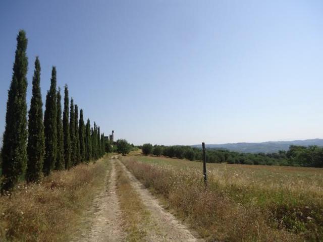 Terreno in vendita a Unione dei Comuni Circondario dell'Empolese Valdelsa, Castelfiorentino