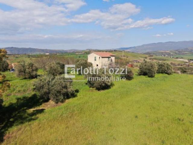 Terreno in vendita a Campagnatico, Toscana
