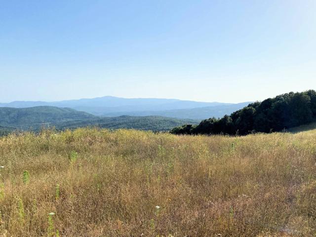 Rustico in vendita a Monteverdi Marittimo, Toscana