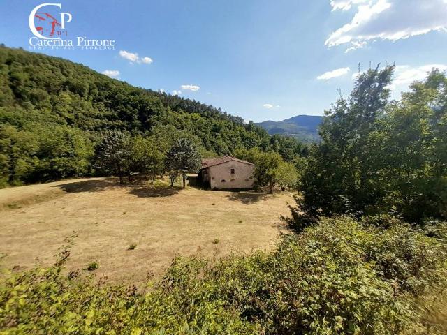 Rustico in vendita a Dicomano, Toscana