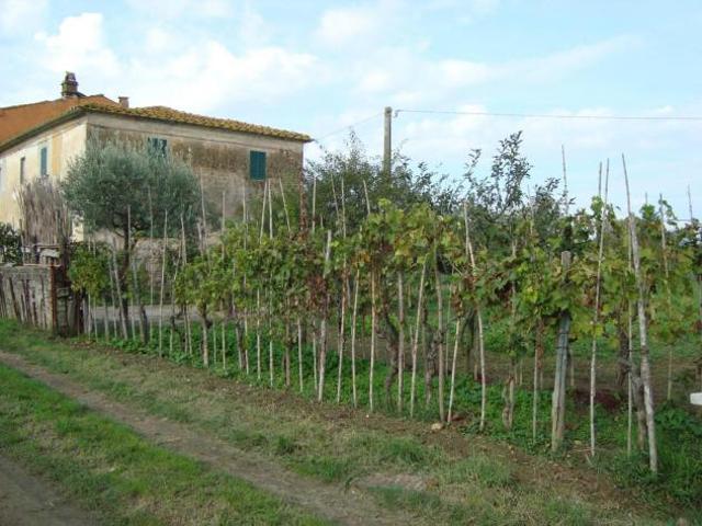 Villa Indipendente in vendita a Larciano, Toscana
