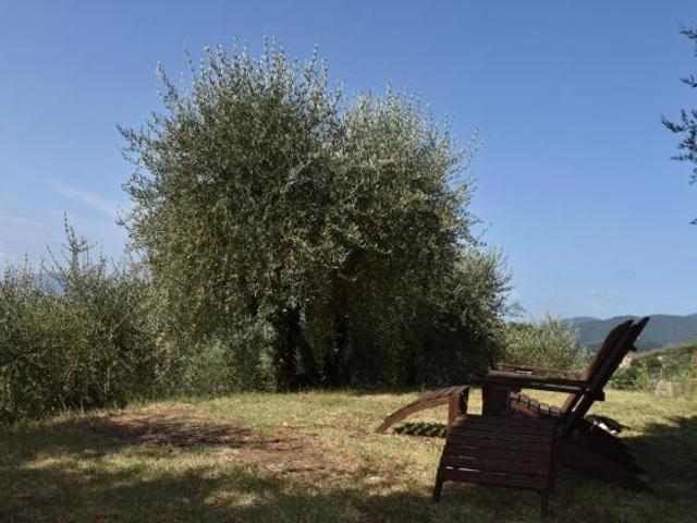 Villa Indipendente in vendita a Capannori, Toscana