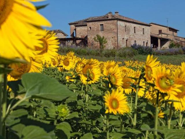 Villa Indipendente in vendita a Monteroni D'arbia, Toscana