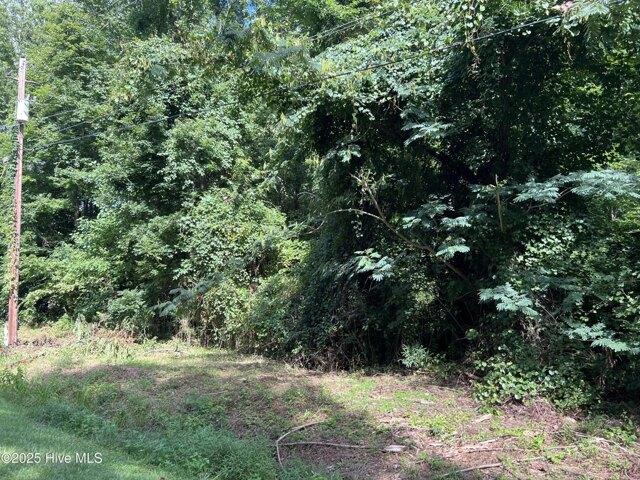 Land for sale in Edenton