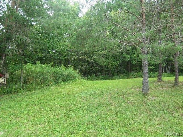 Land for sale in Alexander, New York