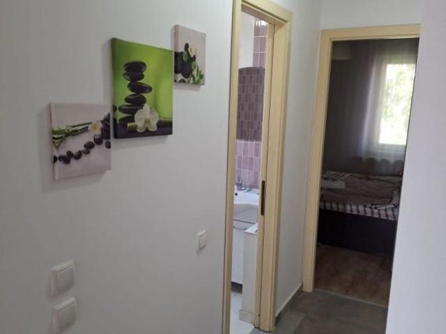 Apartament închirieri în Mircea Cel Batran, Iași