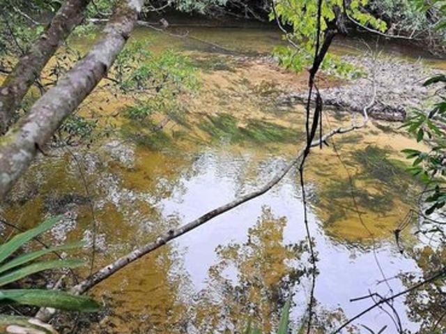 Land for sale in Milton, Florida