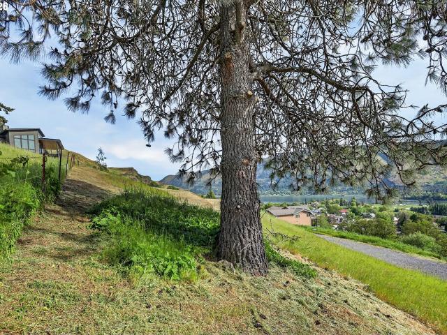 Land for sale in Lyle, Washington
