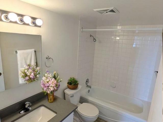 Apartment for rent in Vancouver, British Columbia