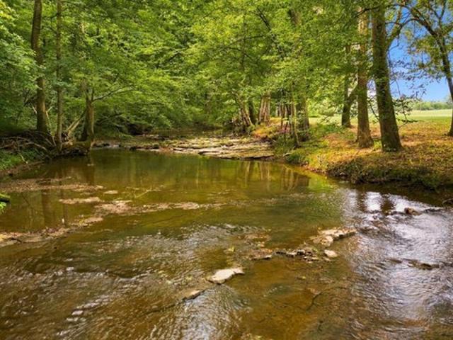 Land for sale in Dickson, Middle Tennessee