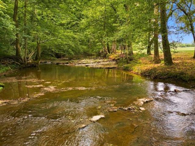 Land for sale in Tennessee