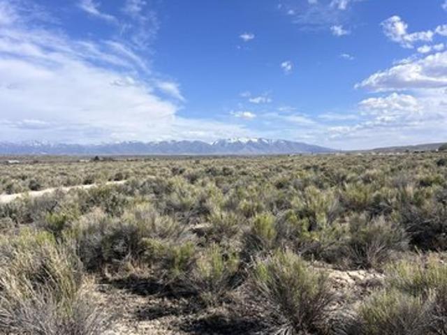 Land for sale in Elko, Nevada