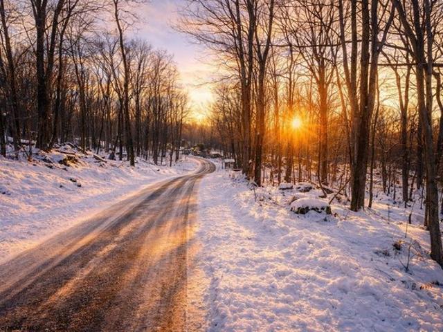 Land for sale in Terra Alta, West Virginia