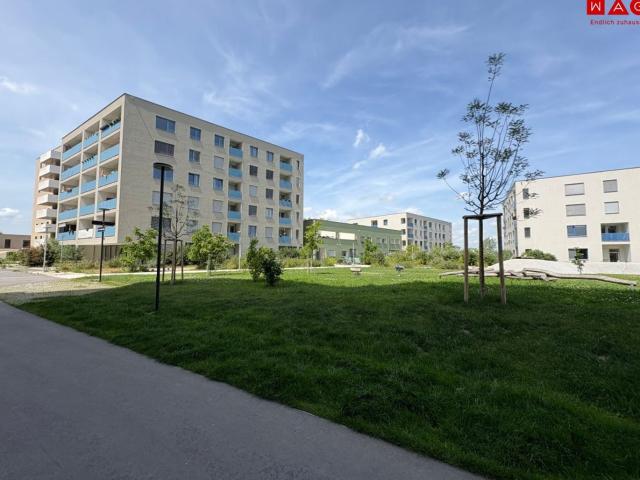 Immobilie mieten in KG Innere Stadt, Wien