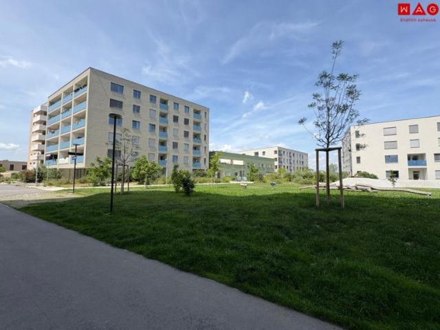 Apartment mieten in Donaustadt, Wien