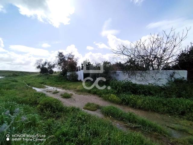 Terreno venda em Castro Verde, Beja