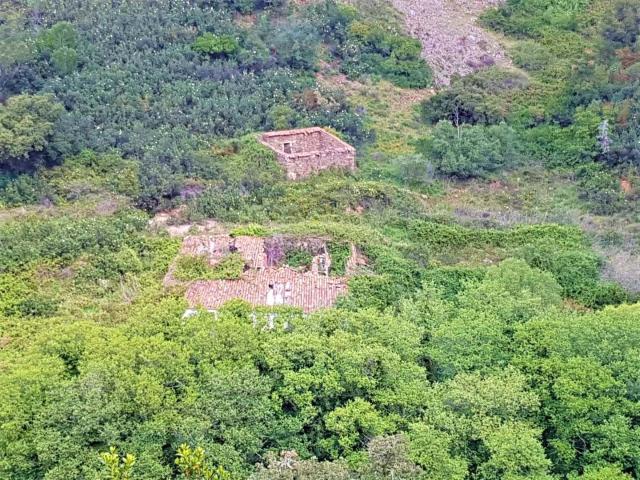 Terreno venda em Monchique, Faro