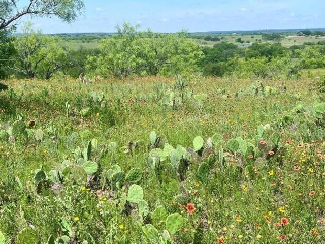 Land for sale in Comanche, Texas