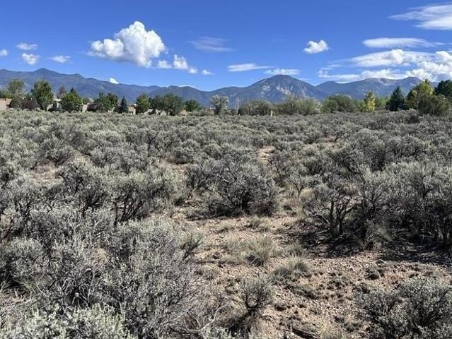 Land for sale in New Mexico