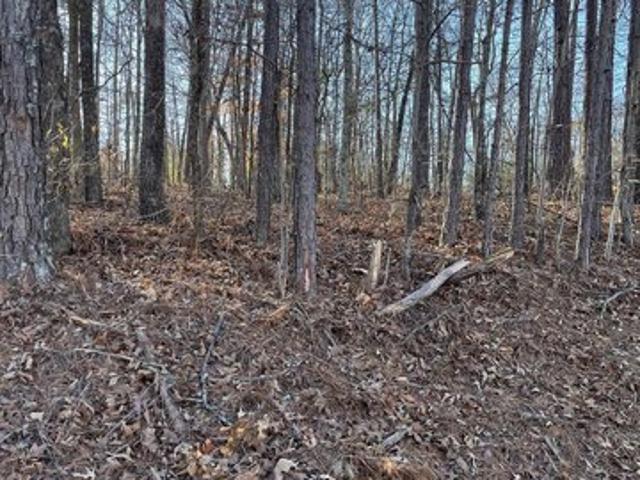 Land for sale in Anniston, Alabama