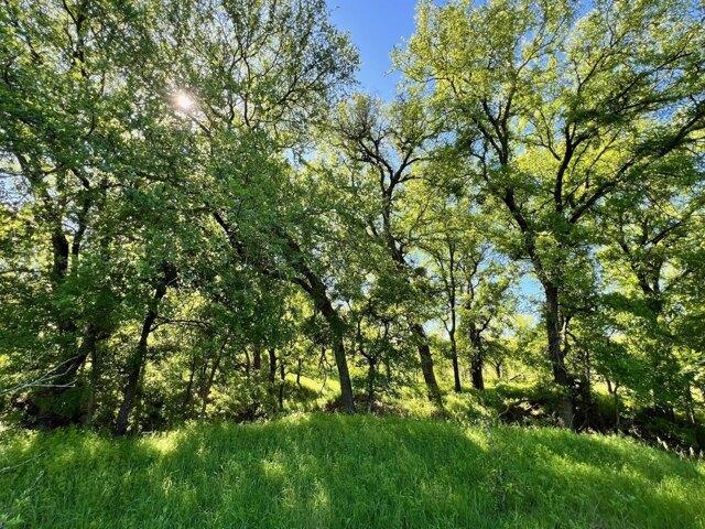 Land for sale in Comanche, Texas