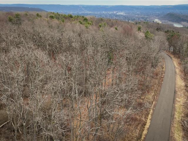 Land for sale in Pine City, New York