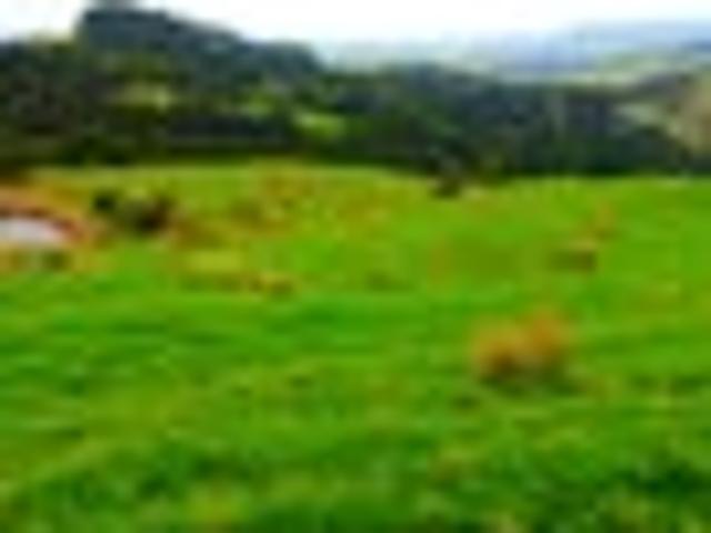 Land for sale in Fairburn, Northland
