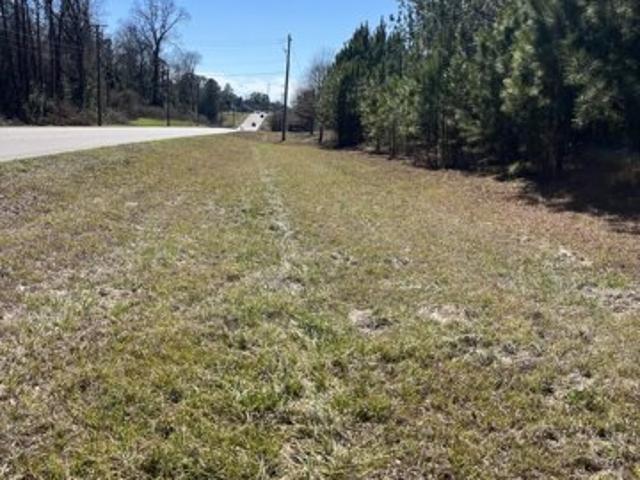 Land for sale in Alexander City