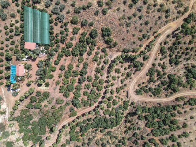 Local Comercial en venta en Sierra de las Nieves, Andalucía
