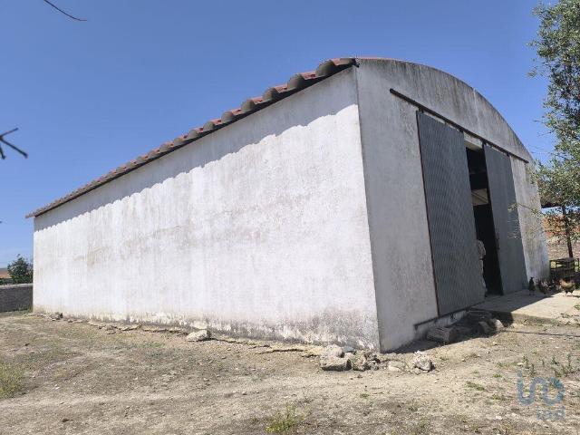 Loja venda em Sousel, Portalegre