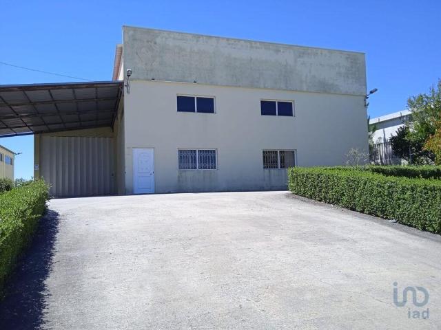 Loja venda em Vila Real