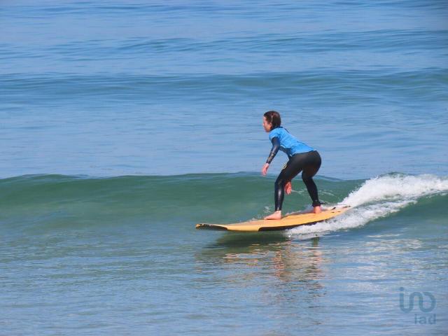 Loja venda em Teso, Estela