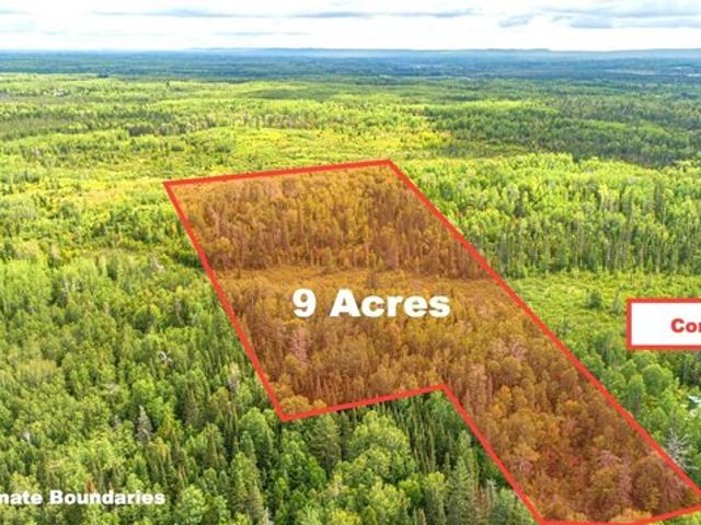 Land for sale in Embarrass, Minnesota