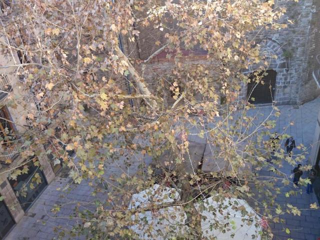 Estudio en alquiler en Gràcia, Barcelonès