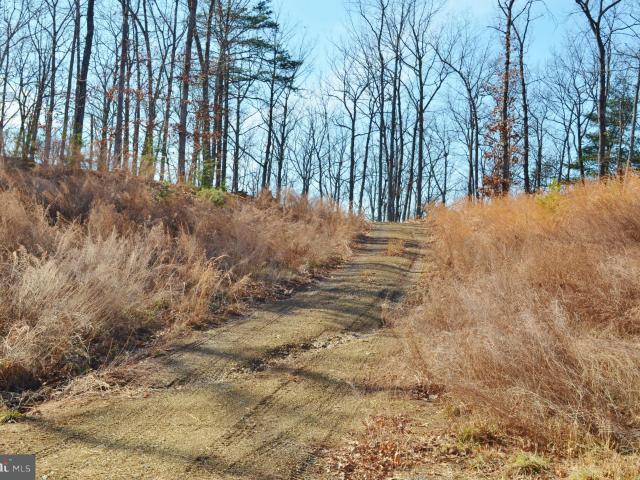 Land for sale in Virginia