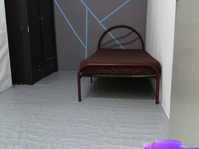 House for rent in Petaling, Damansara Damai
