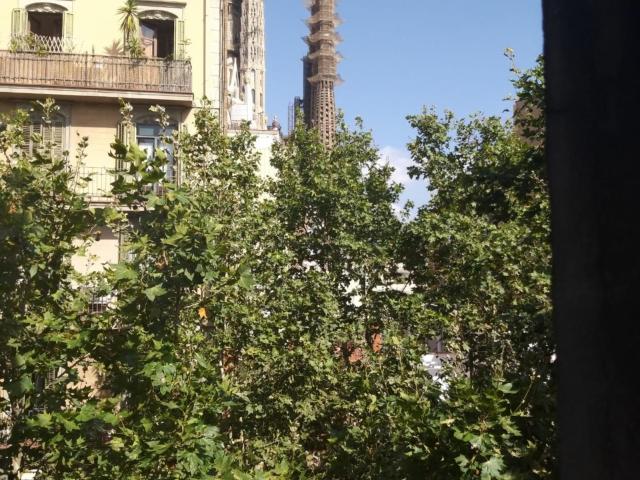 Apartamento en alquiler en Barcelona, la Sagrada Família