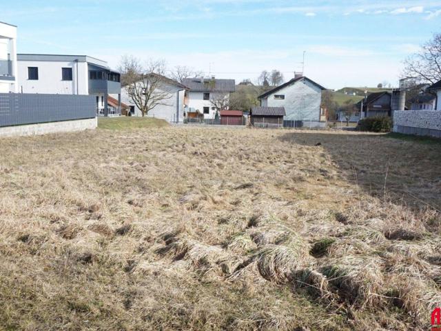 Immobilie kaufen in Ried im Innkreis, Oberösterreich