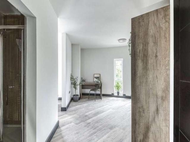 Studio for rent in New Zealand, Derby