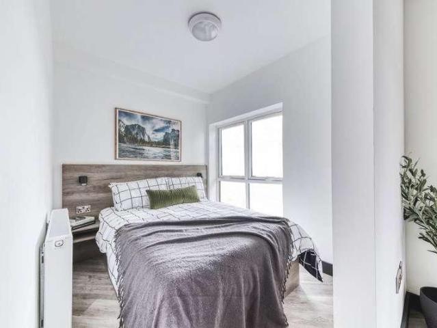 Studio for rent in New Zealand, Derby