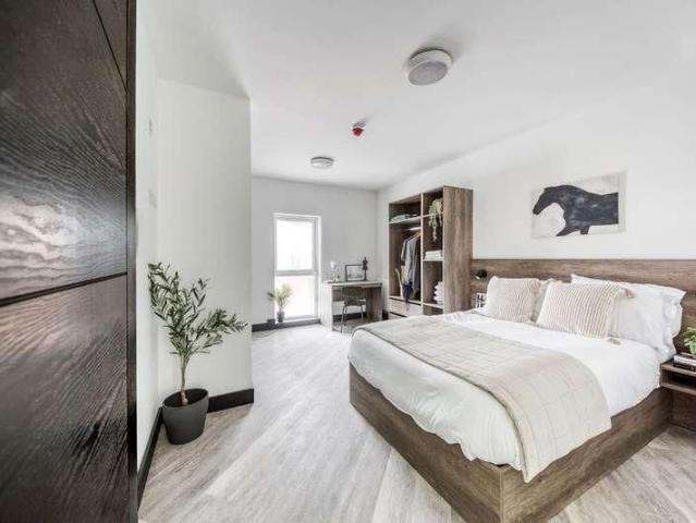 Studio for rent in New Zealand, Derby
