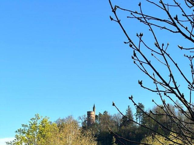 Haus kaufen in Wels, Oberösterreich