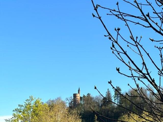 Einfamilienhaus kaufen in Wels, Oberösterreich